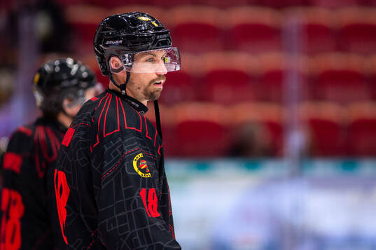 Brynäs Anton Rödin