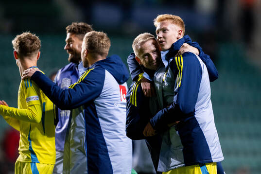 Physio Fredrik Larsson and Hugo Larsson of Sweden