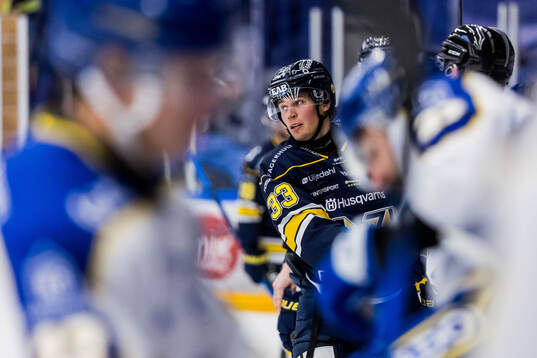 HV71s Måns Lindbäck jublar