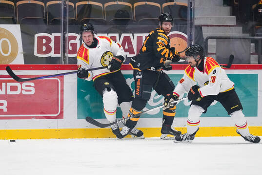 Brynäs Greg Scott och Tyler Vesel