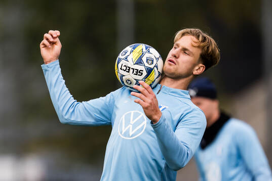 Malmö FFs Erik Botheim