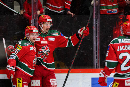 MoDos David Bernhardt jublar