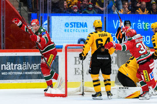 MoDos David Bernhardt jublar