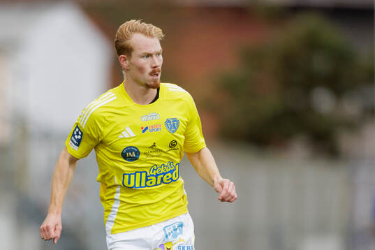 Falkenbergs Linus Borgström
