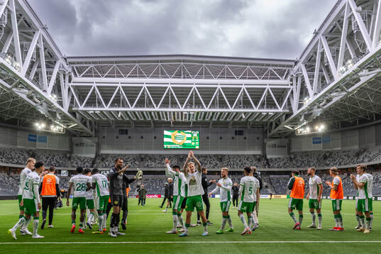 Hammarbys spelar jublar