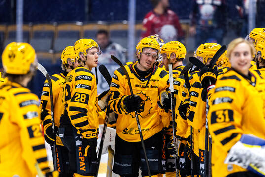 Skellefteås Michael Brandsegg-Nygård och Max Lindholm