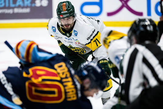 Björklövens Gustav Possler