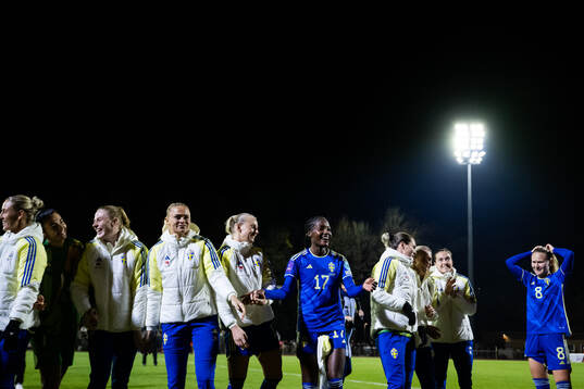 Goalkeeper Zecira Musovic, goalkeeper Tove Enblom,