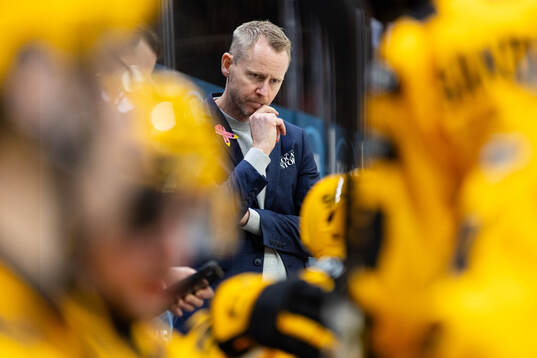 Skellefteås tränare Robert Ohlsson