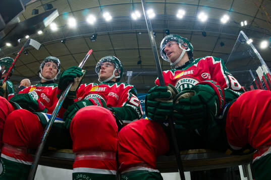 Frölundas Carl Klingberg, Arttu Ruotsalainen och Erik