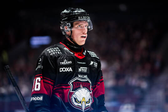Malmö Redhawks Matias Lassen