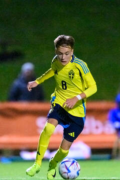 Nikolas Jovanovic of Sweden