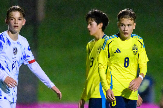 Nikolas Jovanovic of Sweden