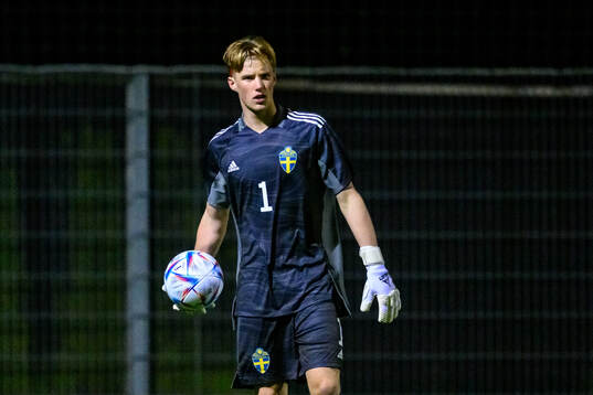 goalkeeper Svante Stangenberg of Sweden