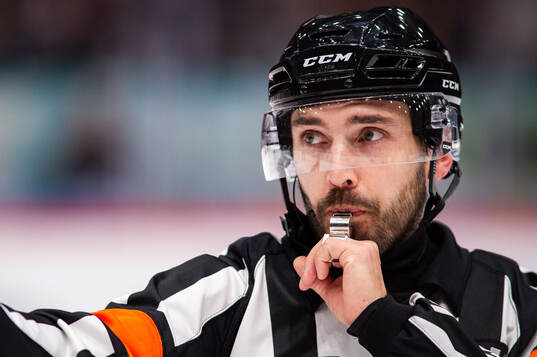 Domare Mattias Enroth