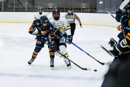 Djurgårdens Tereza Plosova och HV71s Elin Svensson