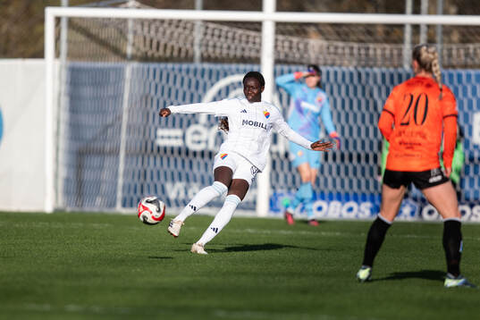 Djurgårdens Sura Yekka