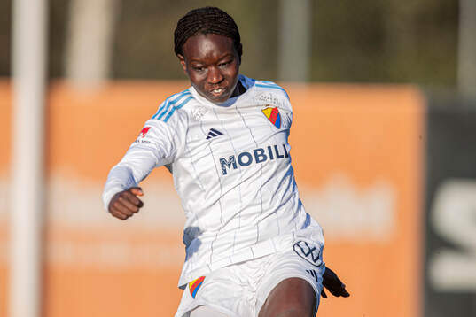 Djurgårdens Sura Yekka