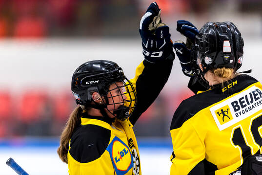 Västergötlands Tindra Medin