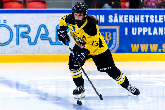 Västergötlands Tindra Medin