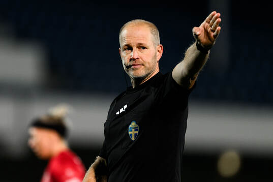 Domare Niklas Olsson