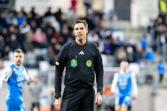 Domare Magnus Lindgren