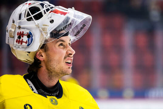 goalkeeper Jacob Johansson of Sweden