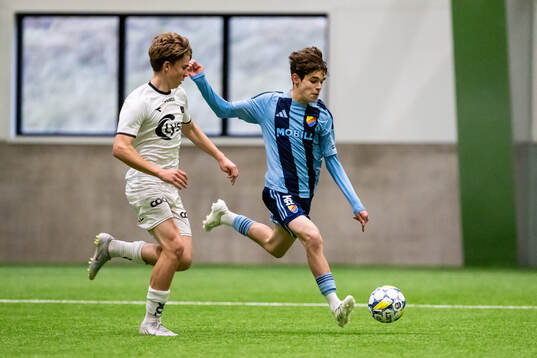 Vikings Eldar Duracak och Djurgårdens Alexander Lindgren