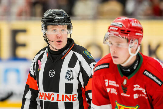 Domare Anders Sandahl