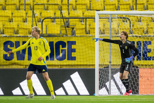 Harry Hilvenius and Goalkeeper William Nieroth Lundgren of Sweden