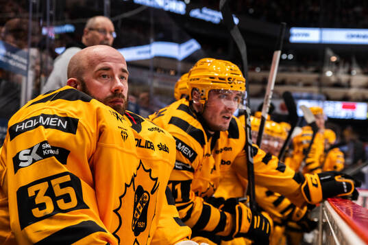 Skellefteås målvakt David Rautio