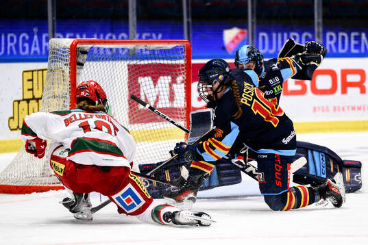 Modos Lauren Bellefontaine oroar framför Djurgårdens