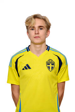 Hannes Hyllenbom poserar för porträtt
