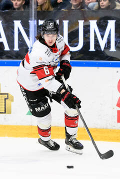 Malmö Redhawks Dominik Badinka