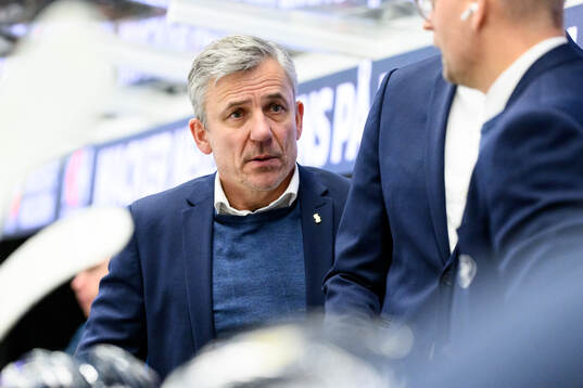 HV71s assisterande tränare Fredrik Stillman