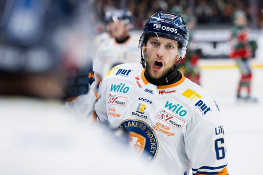 Växjös Eric Martinsson jublar