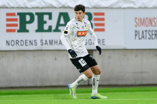 Häckens Malte Ljungkull