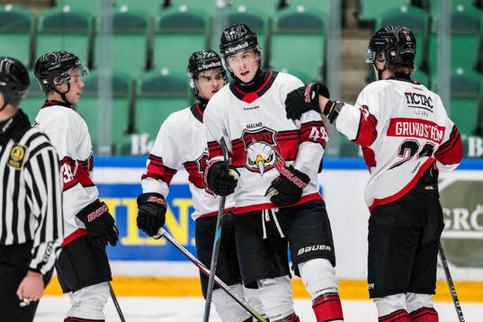 Malmös Wille Magnertoft jublar