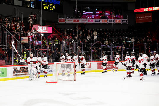Malmö Redhawks Daniel Marmenlind jublar med lagkamrater