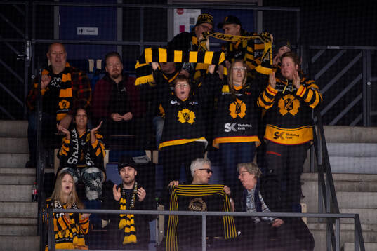 Skellefteås supportar jublar