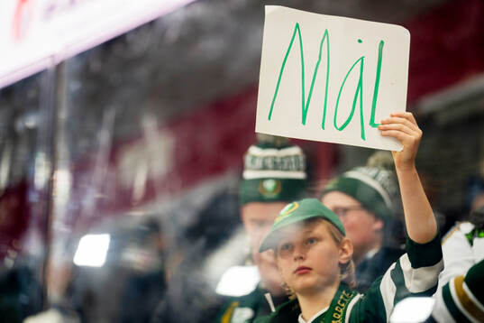 Färjestads supporter