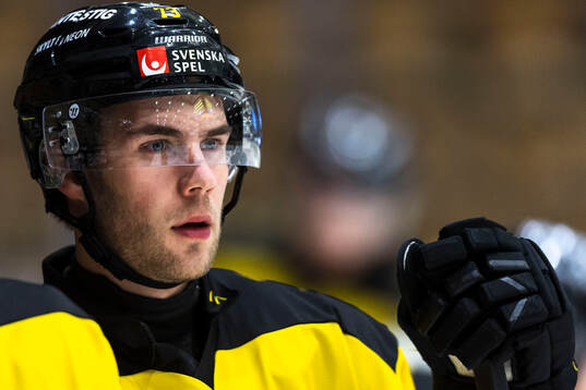 Västerås Anton Gradin