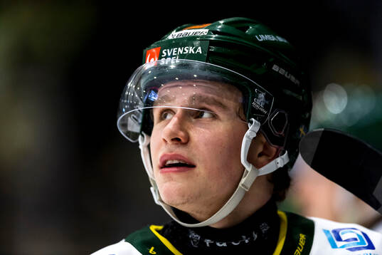 Björklövens Alfons Freij