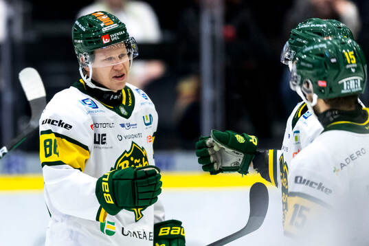 Björklövens Daniel Viksten jublar