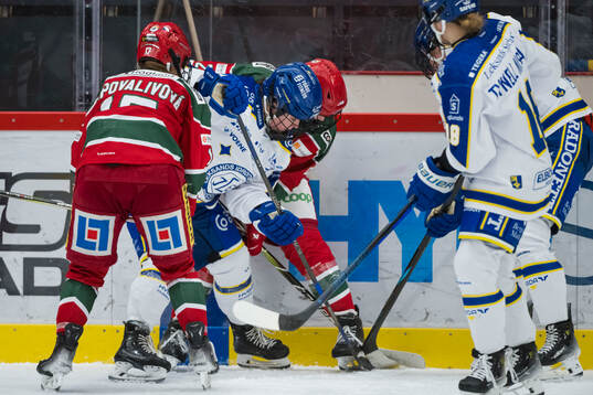 Modos Adela Sapovalivova