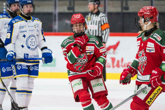 Modos Adela Sapovalivova skadad