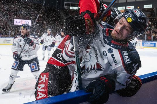 This picture is part of Bildbyrån’s selection of best