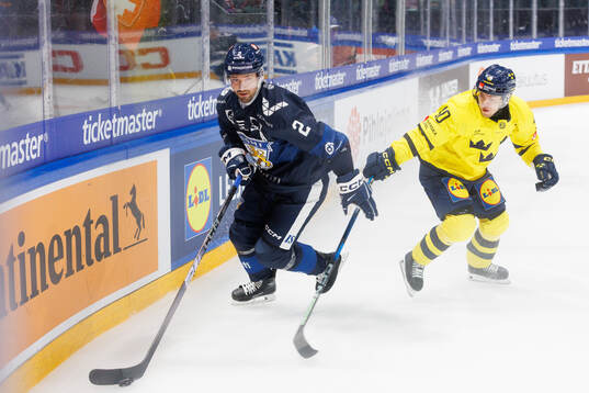 Andreas Wingerli of Sweden in the ice hockey game between