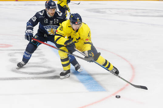 Andreas Wingerli of Sweden in the ice hockey game between