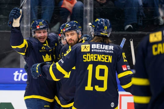 Lucas Wallmark of Sweden celebrates in the ice hockey game